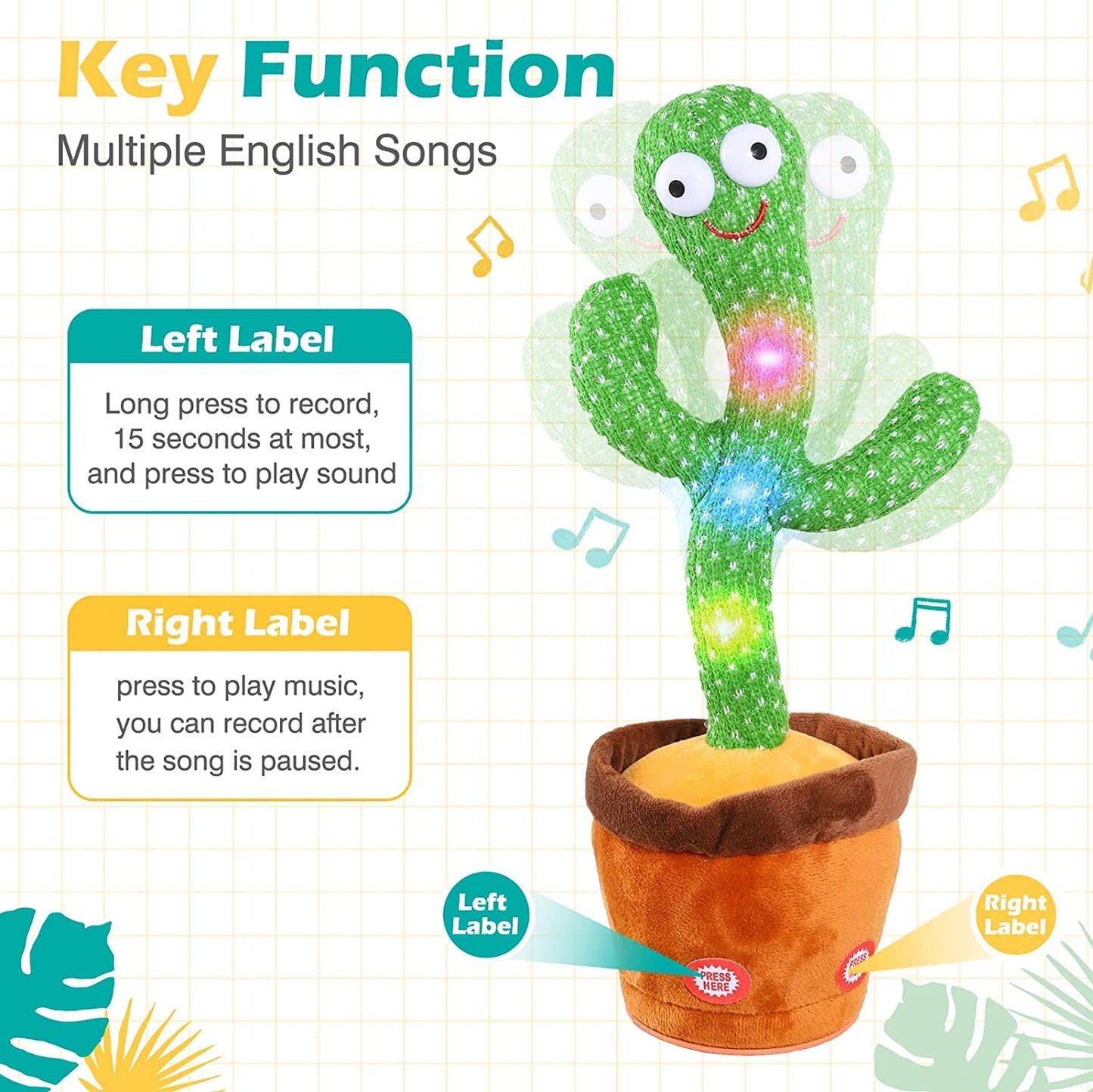 Dancing Cactus