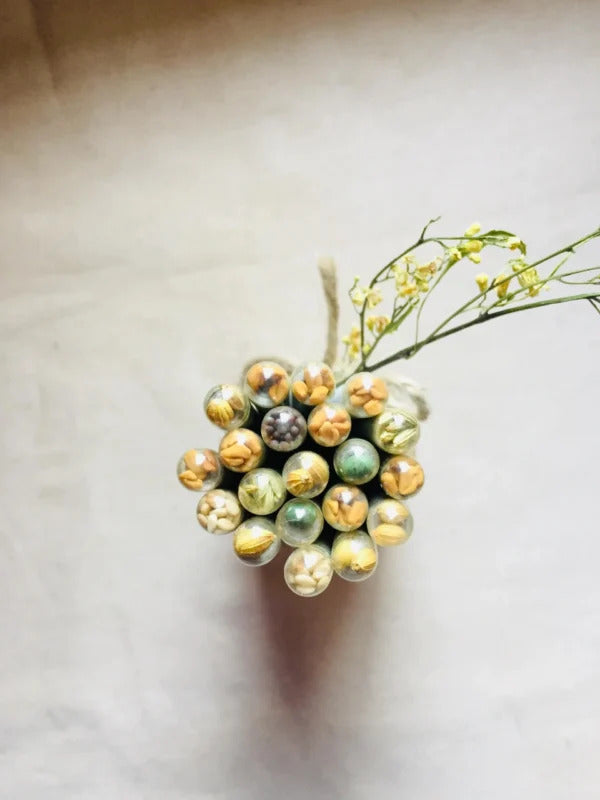 Plantable Pens with Seeds